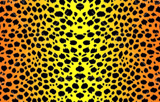 豹子印花华亿平台图片