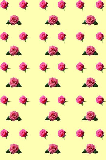 田园印花华亿平台图片