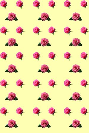 田园印花华亿平台图片