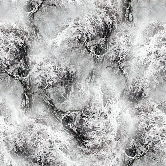 时尚印花华亿平台图片