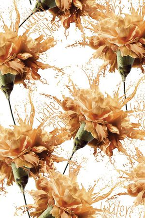 时尚创意印花华亿平台图片