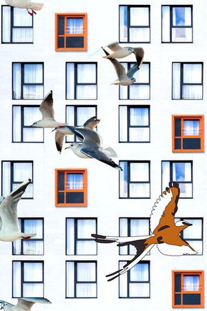 风景印花华亿平台图片