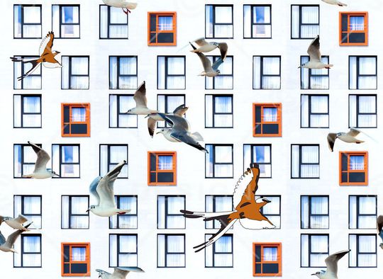 风景印花华亿平台图片