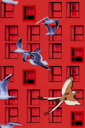 风景印花华亿平台图片