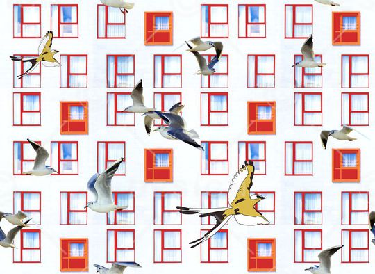 风景印花华亿平台图片