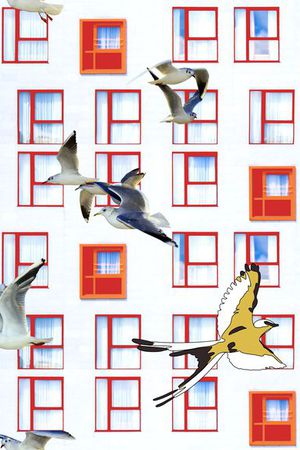 风景印花华亿平台图片