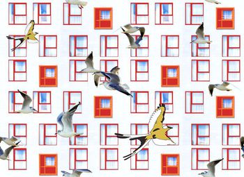 475990-时尚潮流惬意窗外飞鸟