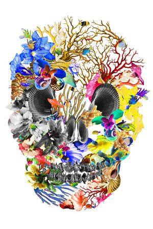 骷髅头印花华亿平台图片