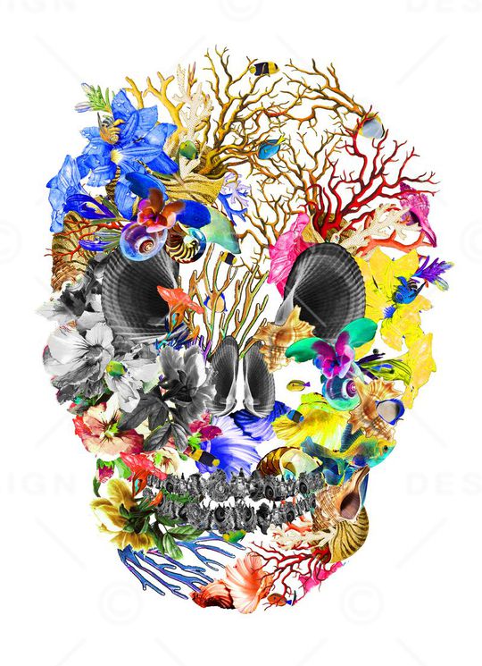 骷髅头印花华亿平台图片