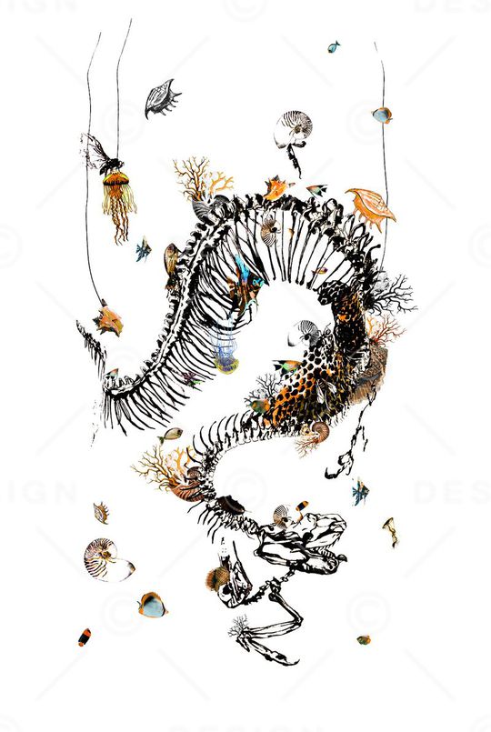 MCQ 麦昆印花华亿平台图片