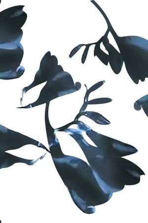 幻彩树叶印花印花华亿平台图片