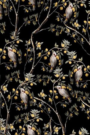 时尚大牌印花华亿平台图片