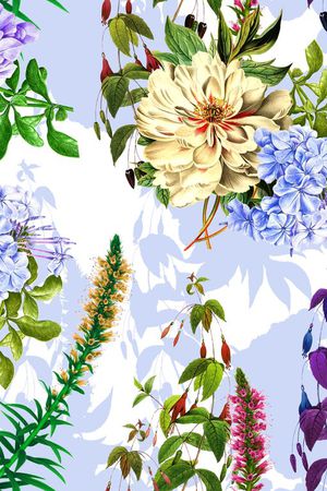 流行时尚印花华亿平台图片