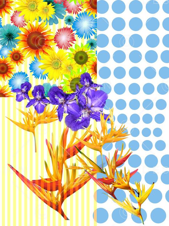 波点印花华亿平台图片