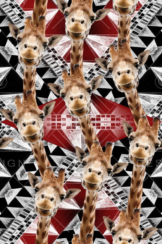 时尚印花华亿平台图片