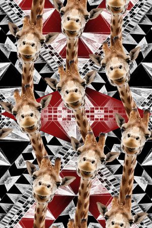 时尚印花华亿平台图片