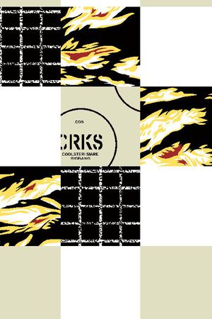 男装华亿平台印花华亿平台图片