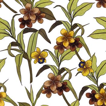 476683-热带丛林植物蝴蝶花叶子匹布