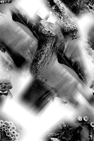 黑白灰印花华亿平台图片