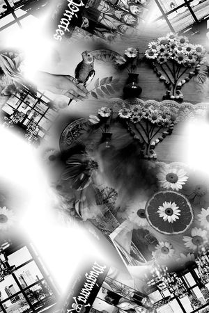 时尚印花华亿平台图片