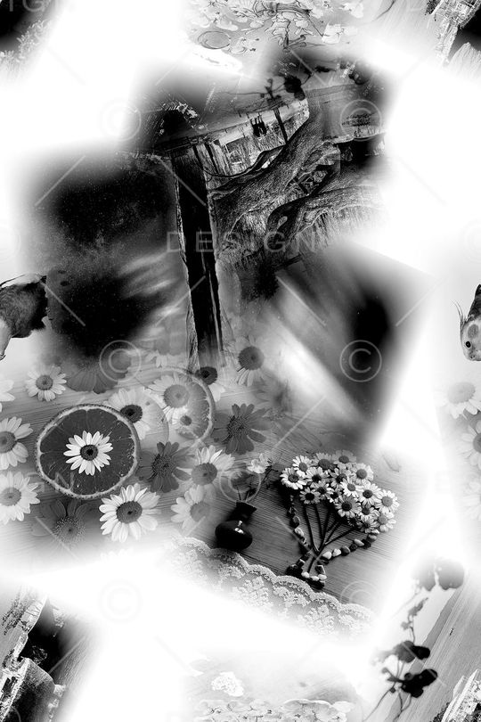 大牌印花华亿平台图片