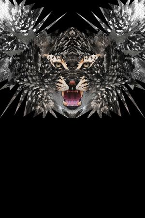 T恤卫衣夹克印花华亿平台图片