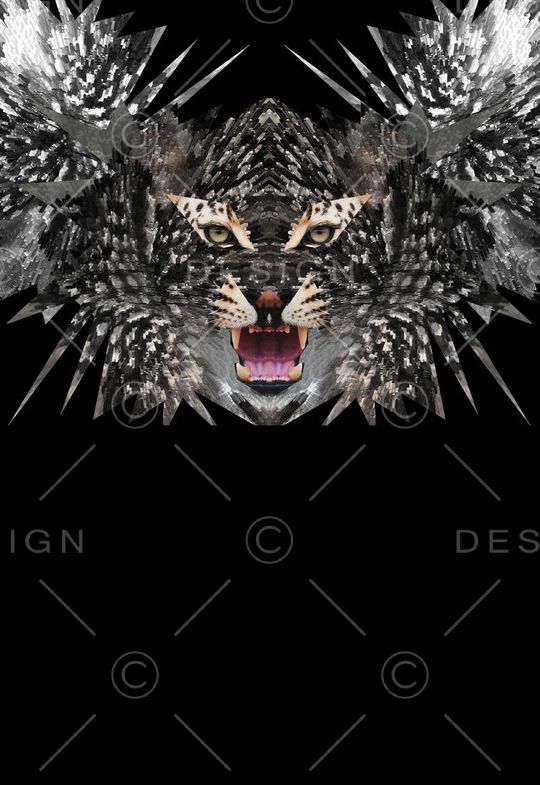 T恤卫衣夹克印花华亿平台图片