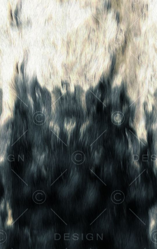 羽毛印花华亿平台图片