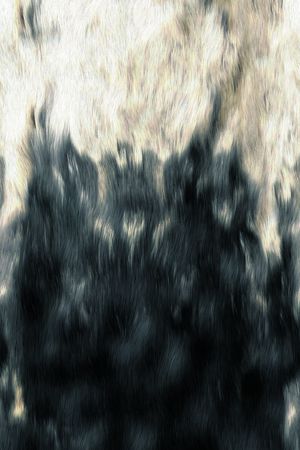 羽毛印花华亿平台图片