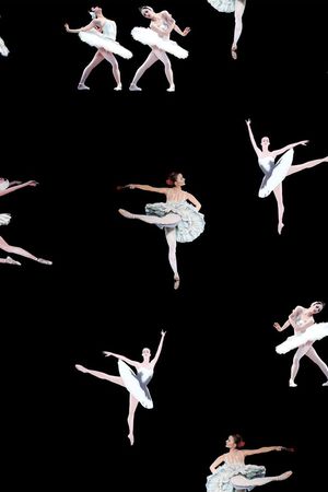 2016早春印花华亿平台图片