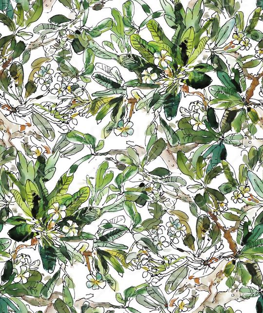 夏威夷印花华亿平台图片