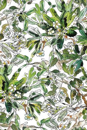 夏威夷印花华亿平台图片