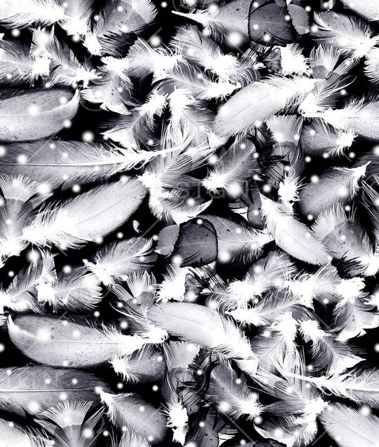 梦幻印花华亿平台图片