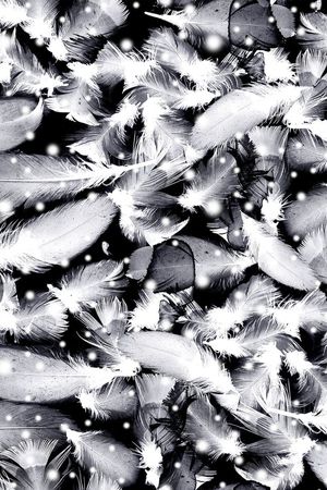 梦幻印花华亿平台图片