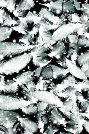 梦幻印花华亿平台图片