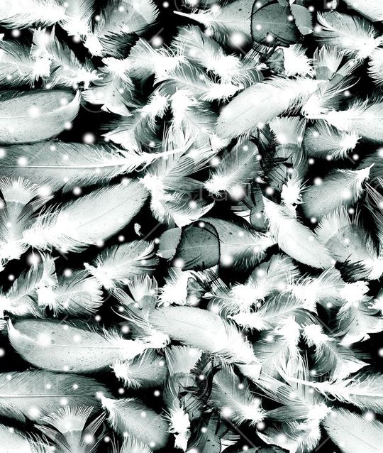 梦幻印花华亿平台图片