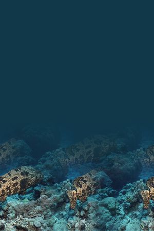 潮流印花华亿平台图片