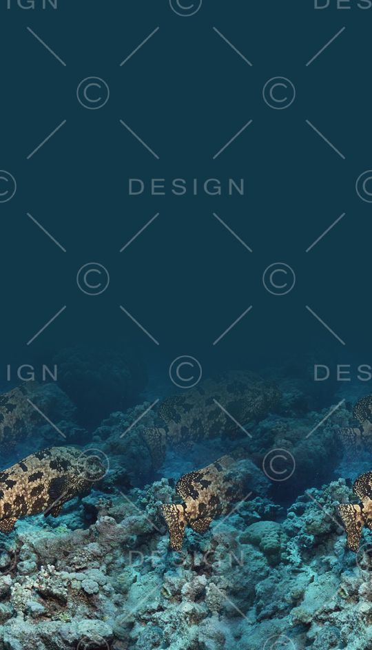 潮流印花华亿平台图片