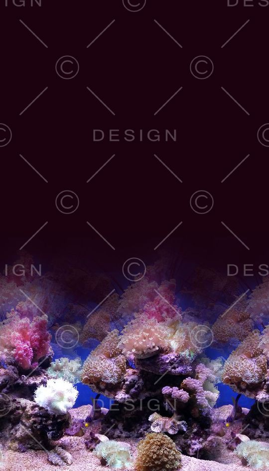 复古印花华亿平台图片