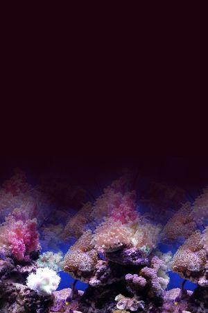 复古印花华亿平台图片