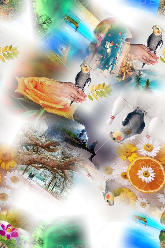 风景印花华亿平台图片