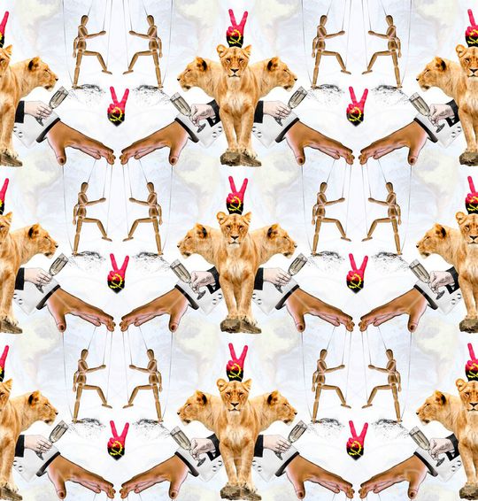 狮子印花华亿平台图片