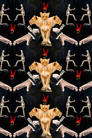 狮子印花华亿平台图片