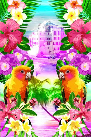 可爱鹦鹉印花华亿平台图片