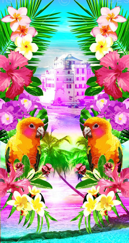 可爱鹦鹉印花华亿平台图片