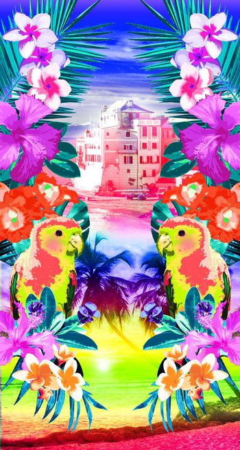 477914-可愛熱帶鸚鵡