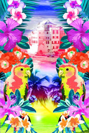 可爱鹦鹉印花华亿平台图片