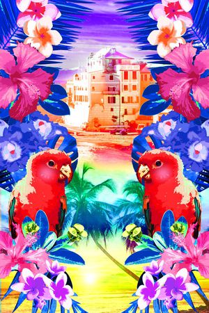 可爱鹦鹉印花华亿平台图片