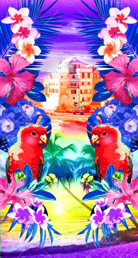 可爱鹦鹉印花华亿平台图片