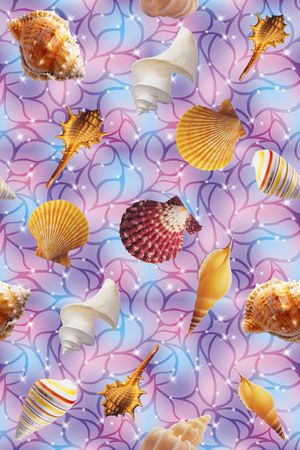 贝壳印花华亿平台图片